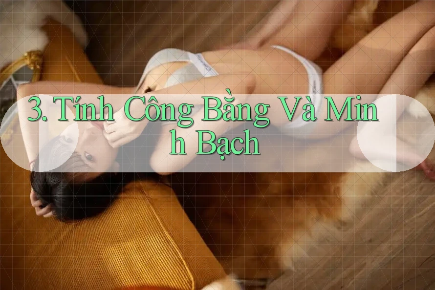3. Tính Công Bằng Và Minh Bạch 3. Tính Công Bằng Và Minh Bạch