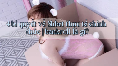4 bí quyết về Shbet thực tế chính thức bankroll là gì