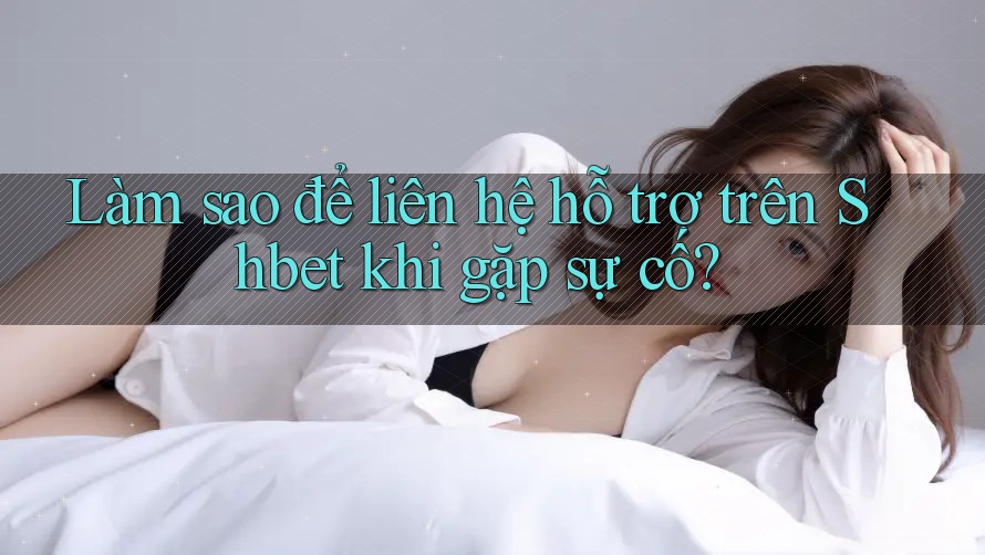 Làm sao để liên hệ hỗ trợ trên Shbet khi gặp sự cố?