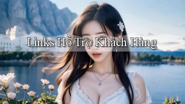 Links Hỗ trợ khách hàng