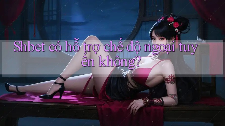 Shbet có hỗ trợ chế độ ngoại tuyến không? Shbet có hỗ trợ chế độ ngoại tuyến không?
