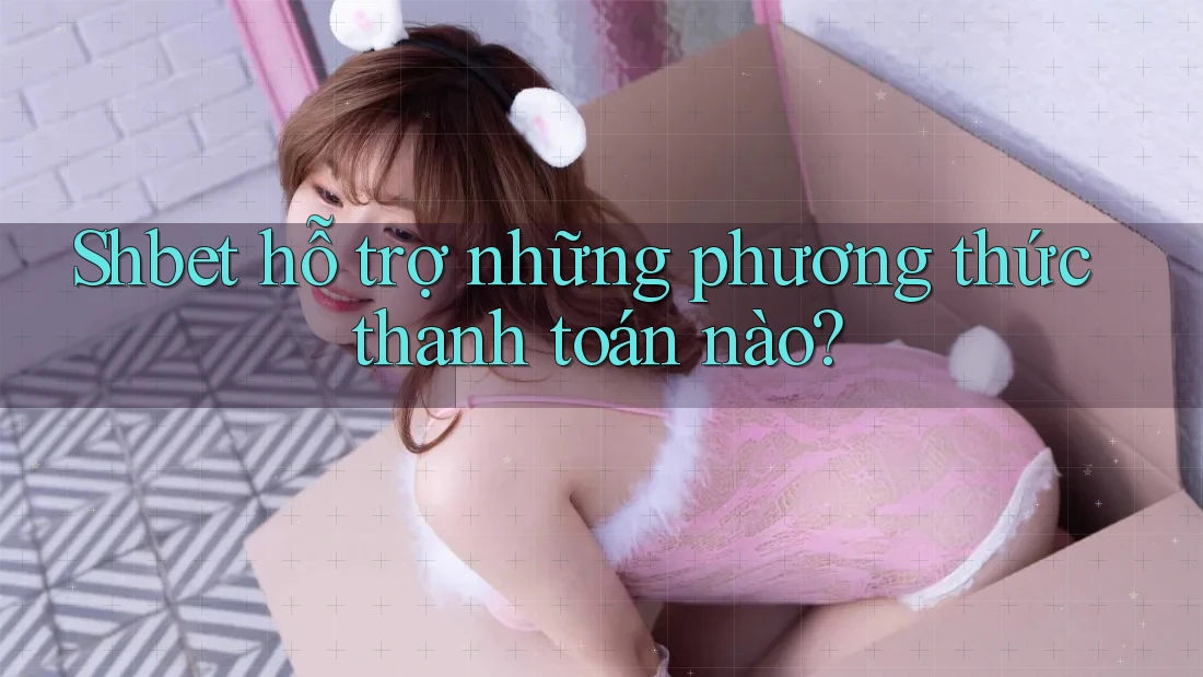 Shbet hỗ trợ những phương thức thanh toán nào? Shbet hỗ trợ những phương thức thanh toán nào?