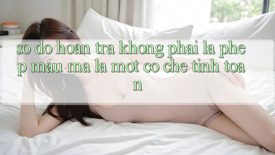 “Số Đỏ Hoàn Trả” Không Phải Là Phép Màu, Mà Là Một Cơ Chế Tính Toán