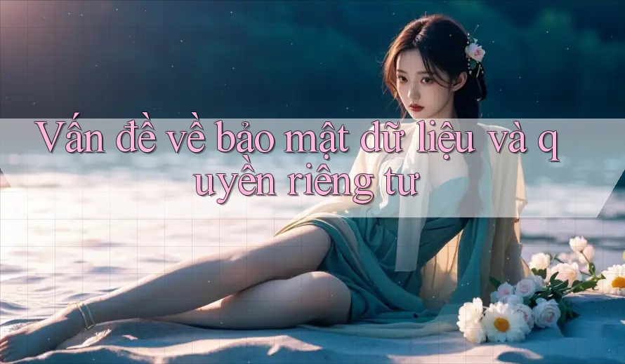 Vấn đề về bảo mật dữ liệu và quyền riêng tư Vấn đề về bảo mật dữ liệu và quyền riêng tư