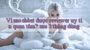 Vì sao shbet được reviewer uy tín quan tâm sau 3 tháng dùng